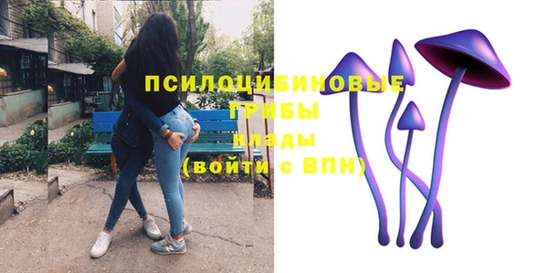 тгк Богданович