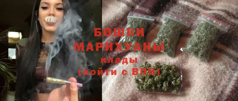 Канабис OG Kush  Черепаново 